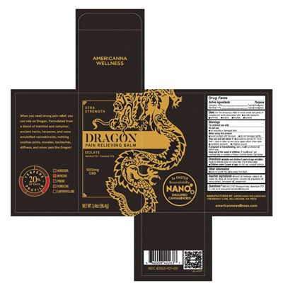 1 (83552 114 00 Dragon 3.4 Rollup Xtra Isolate Carton)